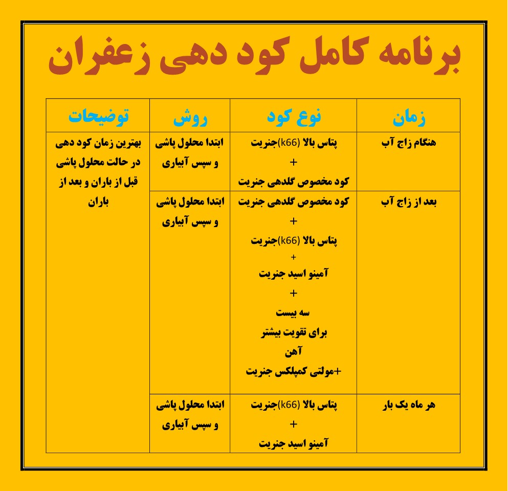 برنامه کوددهی زعفران