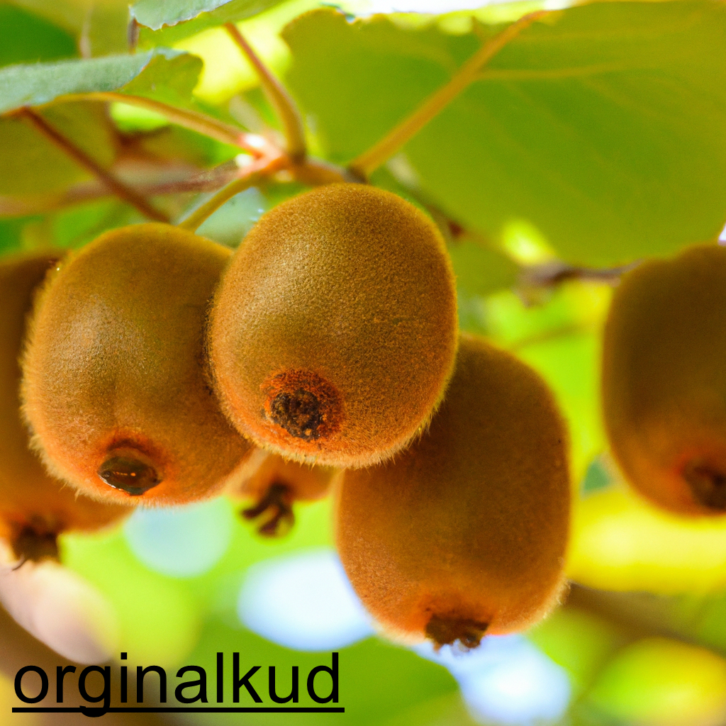 برنامه غذایی کیوی