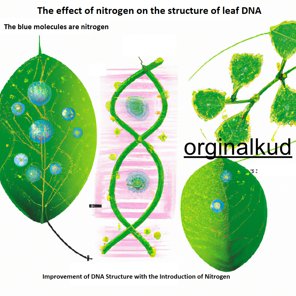 تاثیر نیتروژن بر دی ان ای