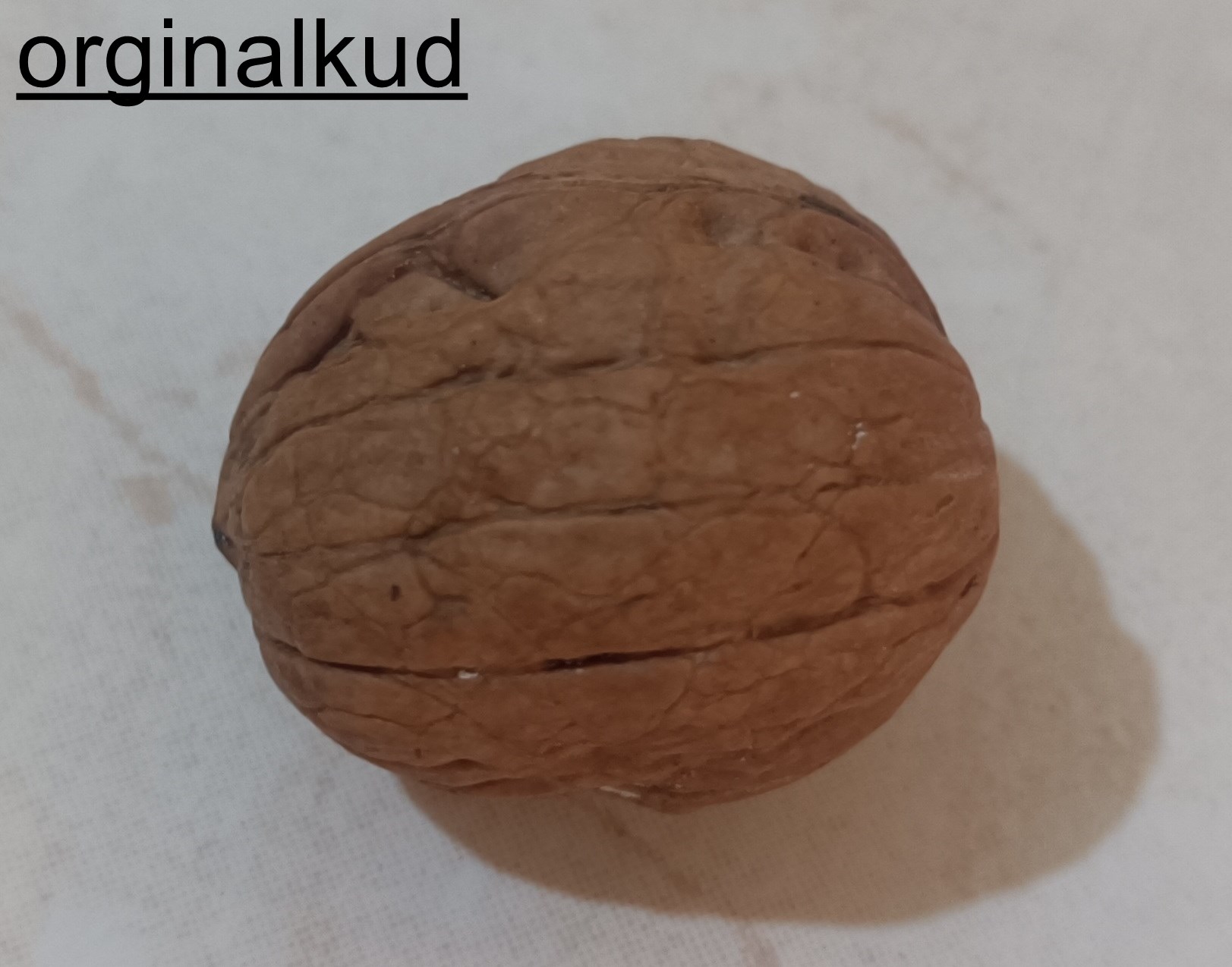 گردو