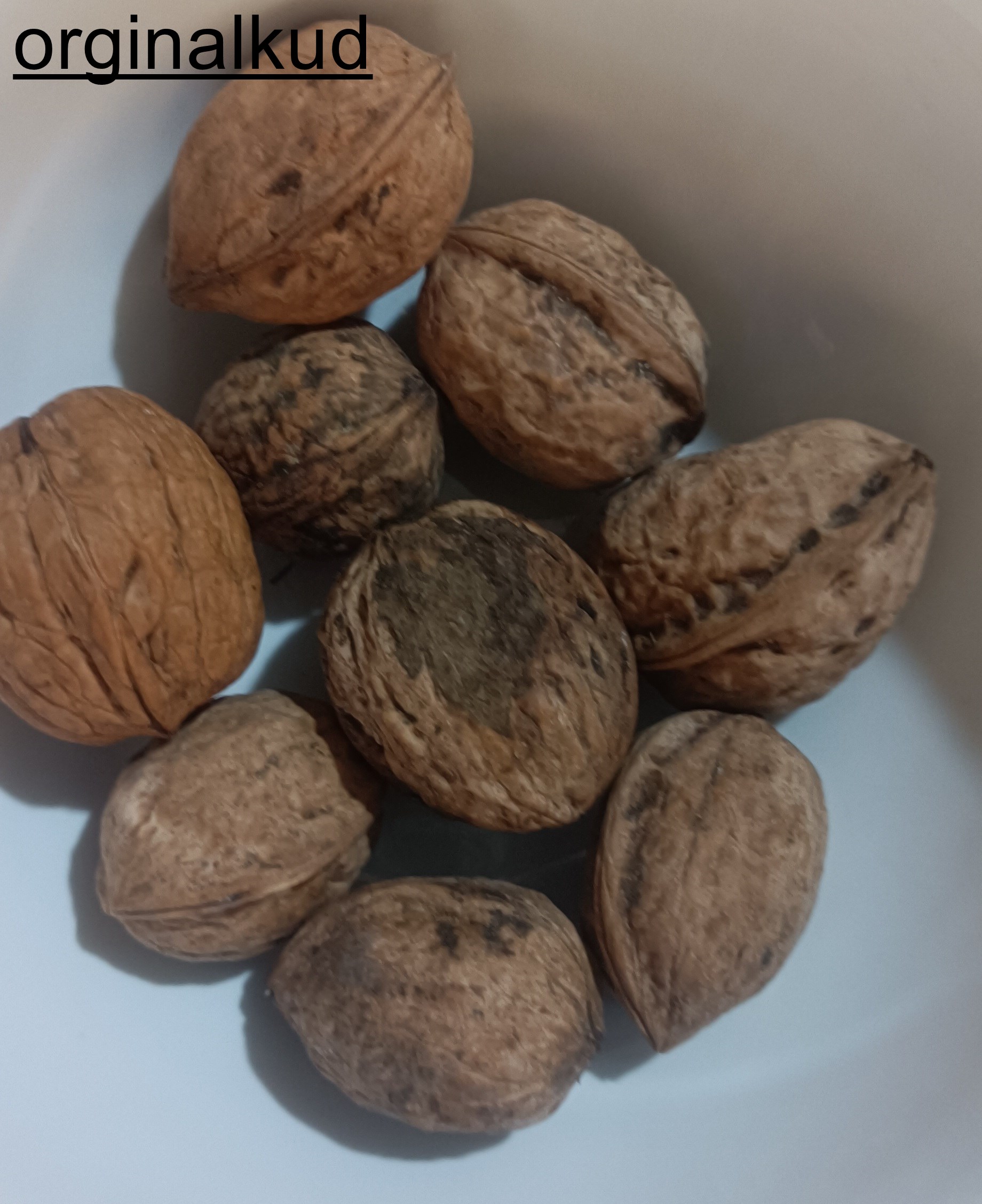 گردو