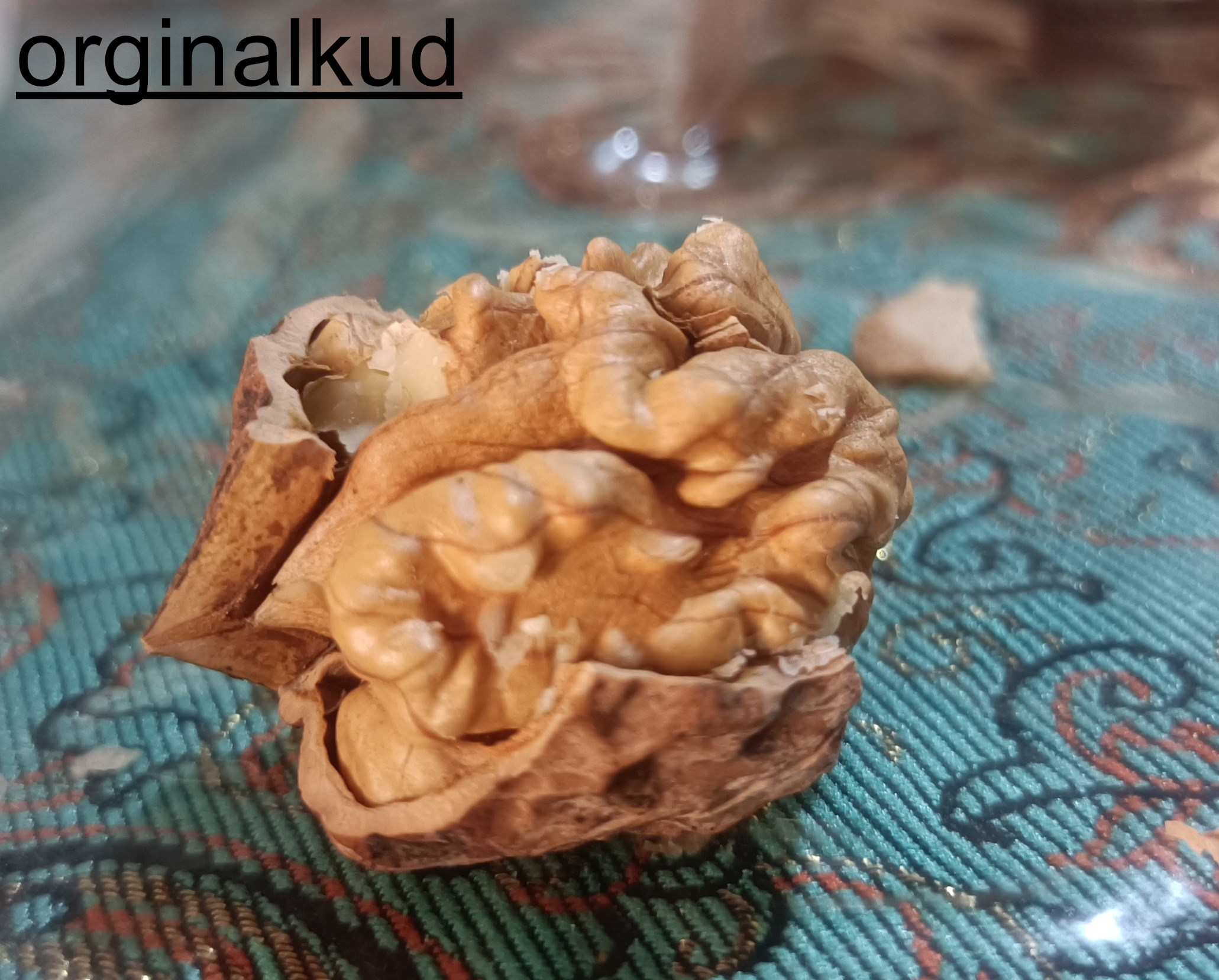 گردو