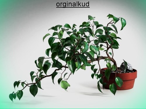 بنجامین ویاندی