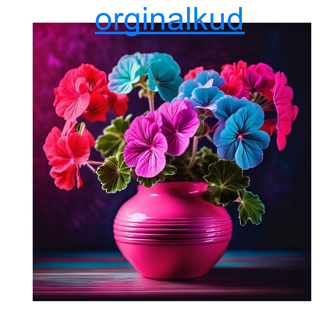 نگهداری گل شمعدانی