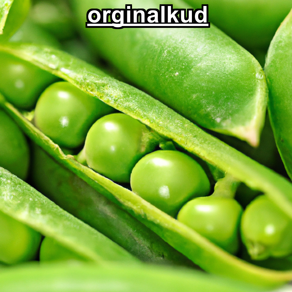 کوددهی نخود سبز