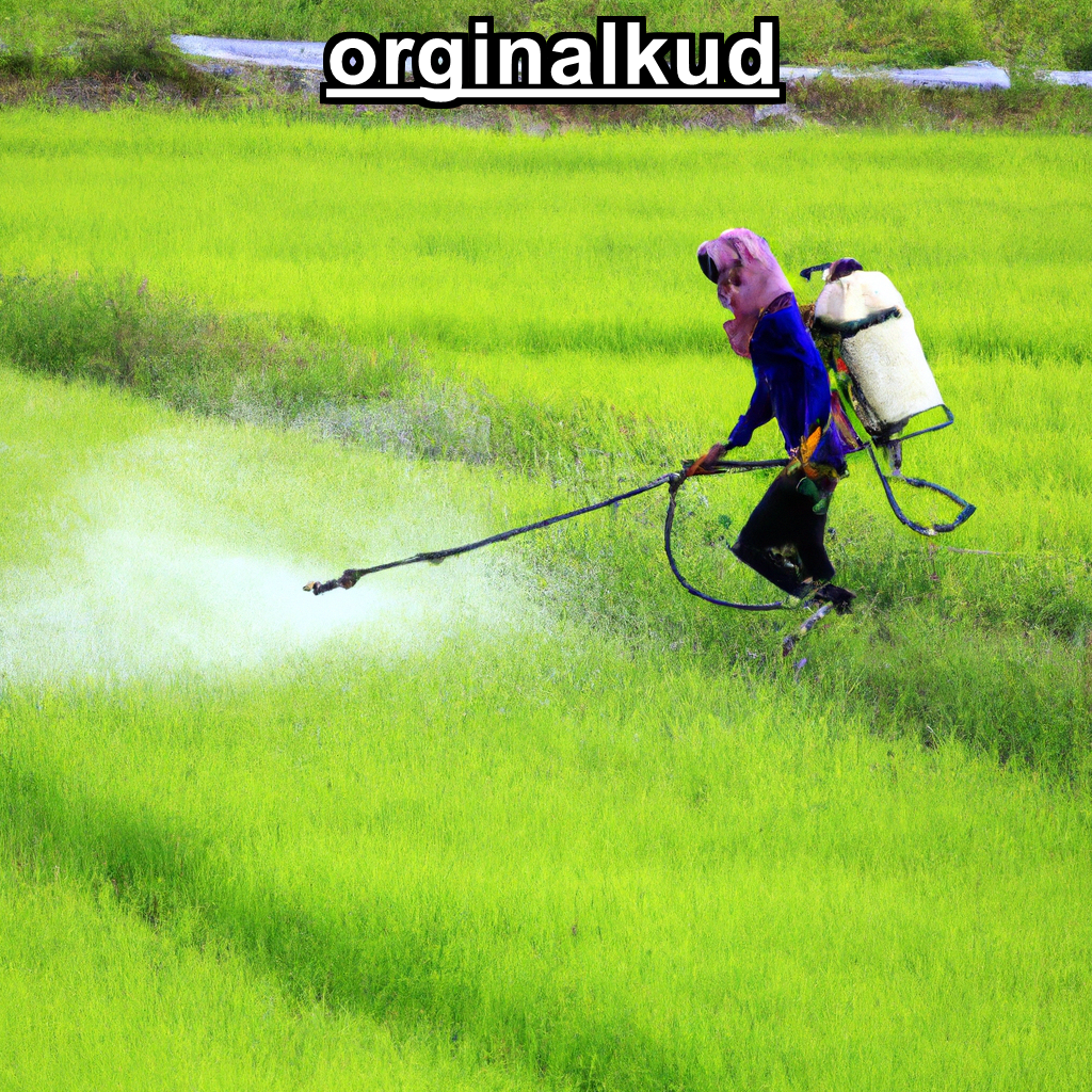 کوددهی شبدر