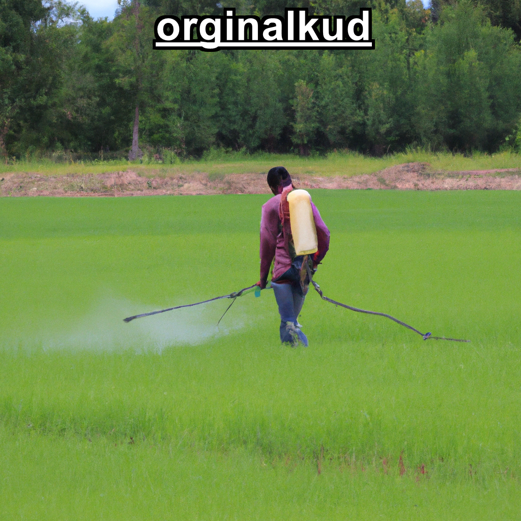 کوددهی شبدر