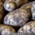 بهترین کود برای سیب‌زمینی