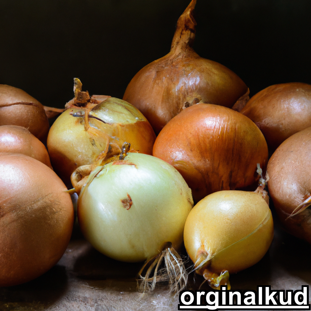 بهترین کود برای پیاز