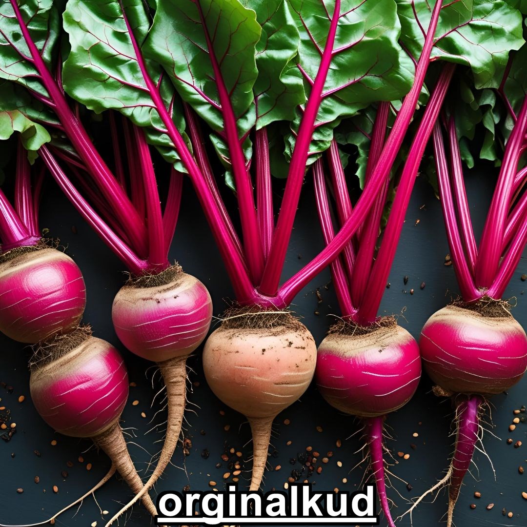 بهترین کود برای چغندر قند