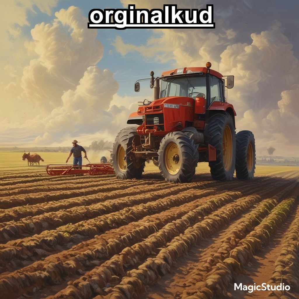 کاشت چغندر قند