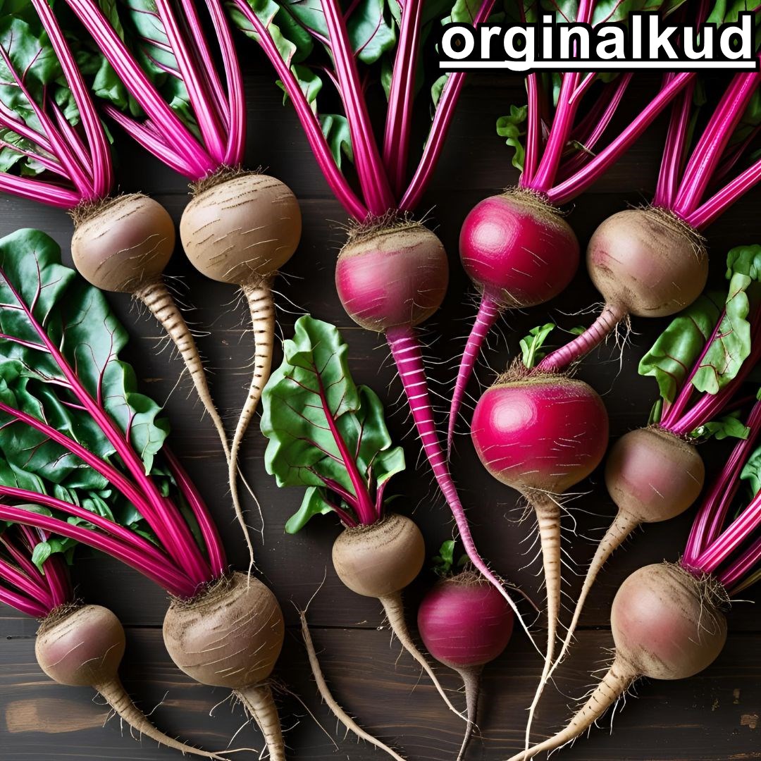 کوددهی چغندر قند