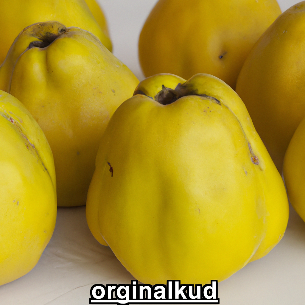 برنامه کوددهی به