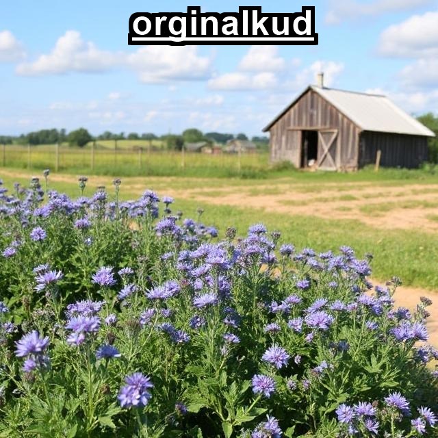 بهترین کود برای گل گاو زبان