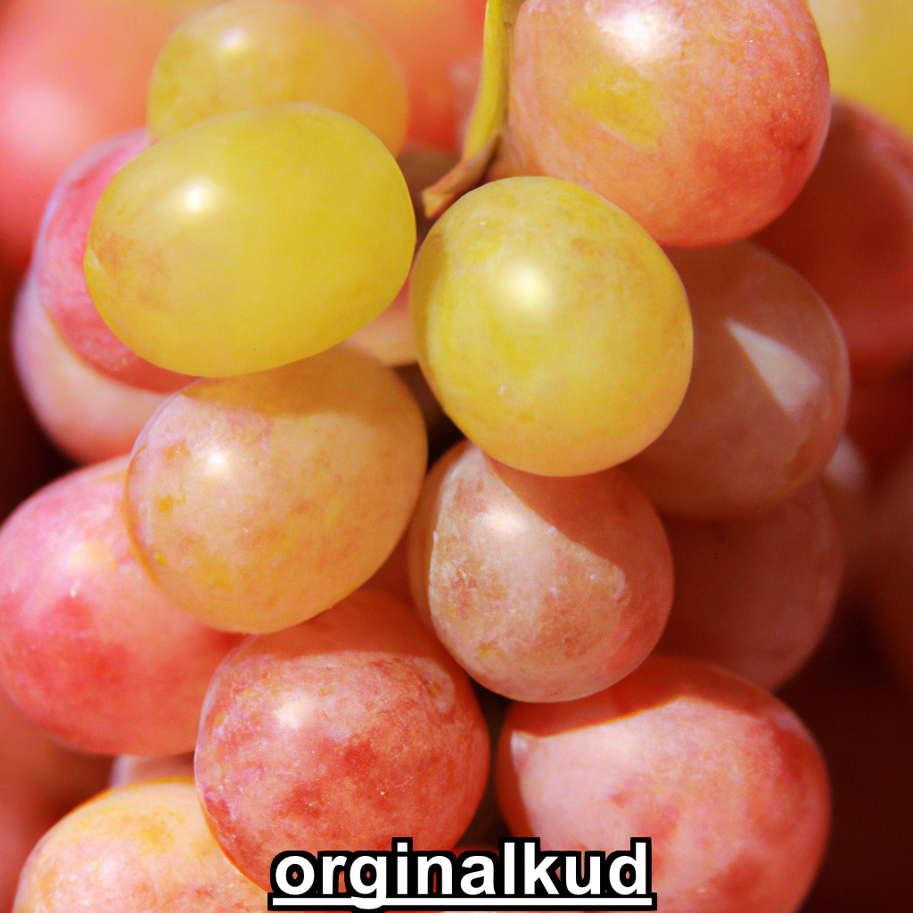 کود برای انگور
