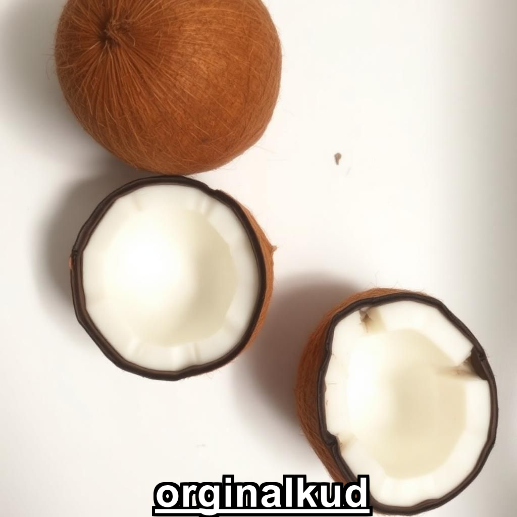 کاشت نارگیل